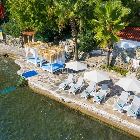 ホテル Labranda Mares 5*